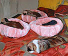 Three Pink Beds